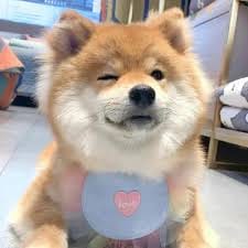 Trần Thị Phương avatar